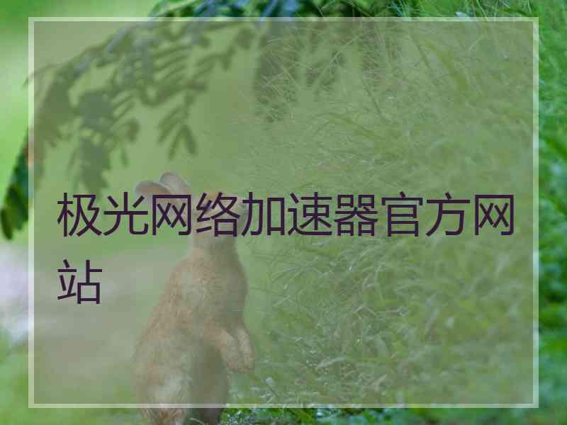 极光网络加速器官方网站