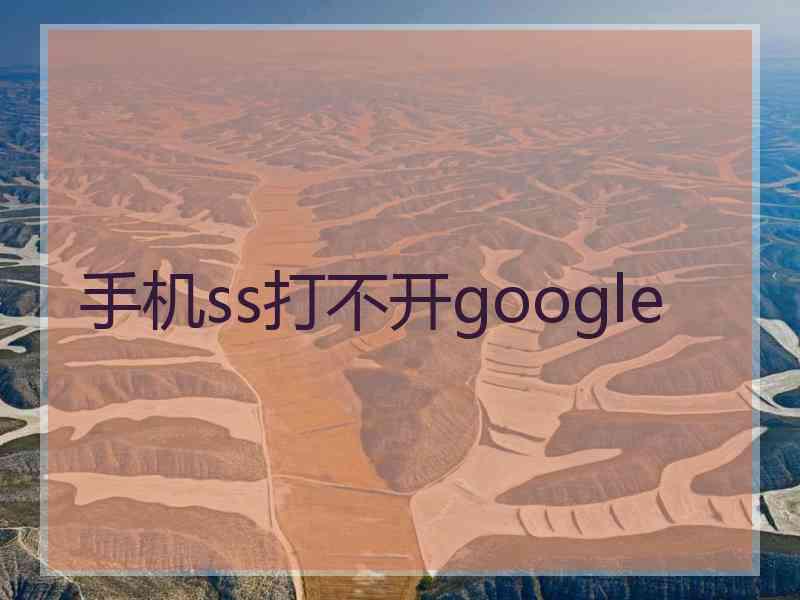 手机ss打不开google