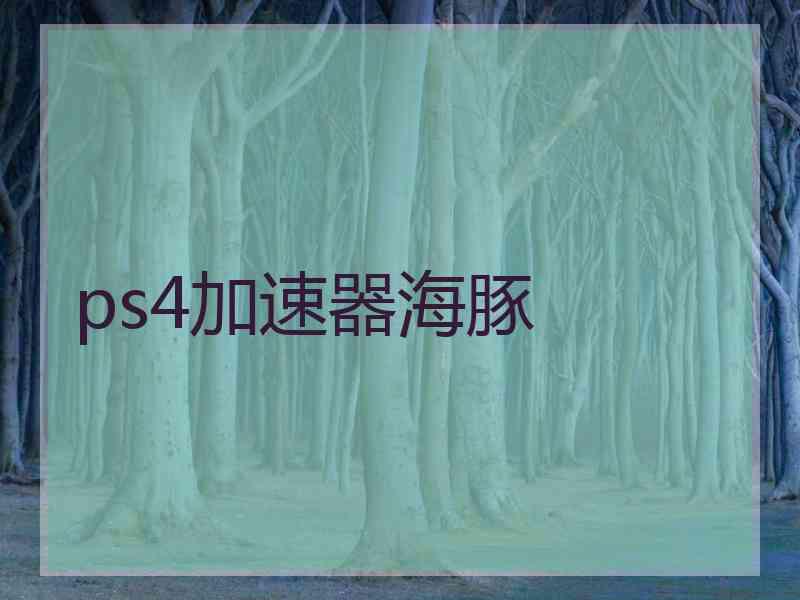 ps4加速器海豚