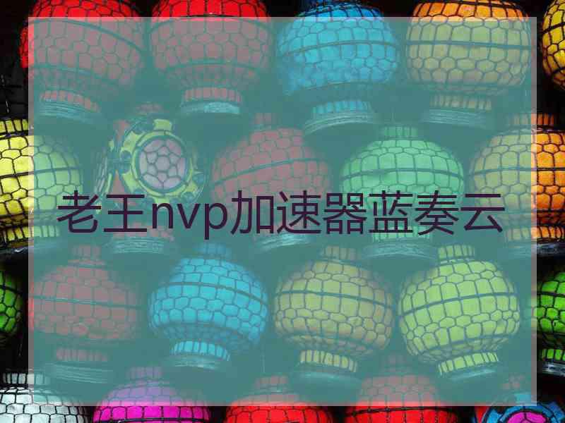 老王nvp加速器蓝奏云