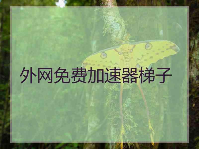 外网免费加速器梯子