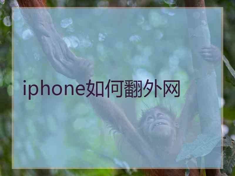 iphone如何翻外网