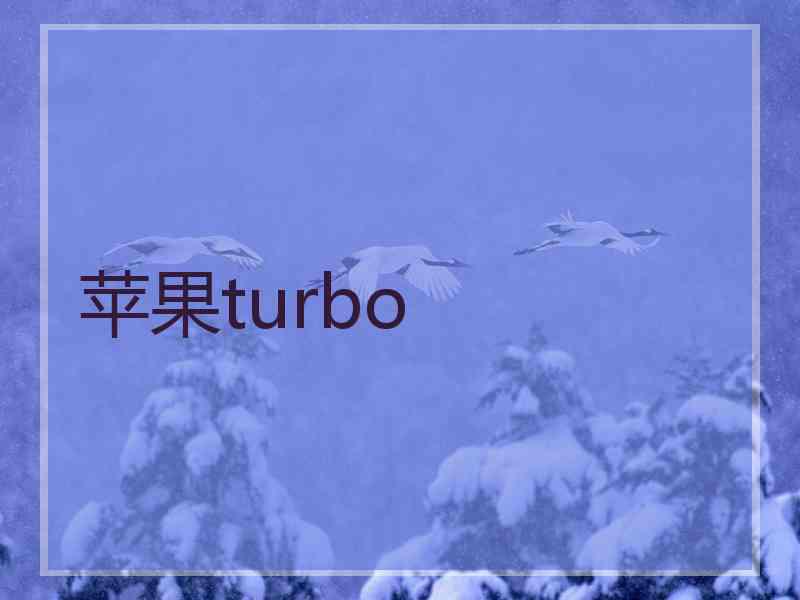 苹果turbo