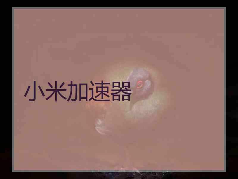 小米加速器