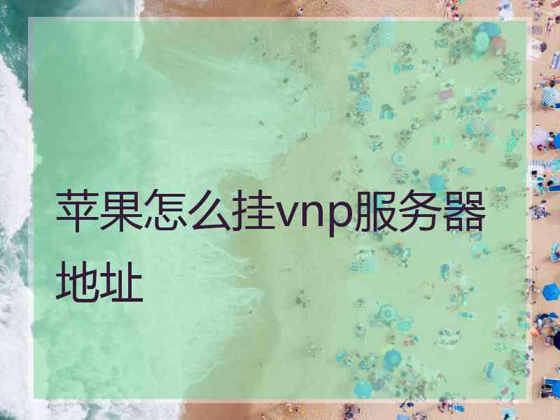 苹果怎么挂vnp服务器地址