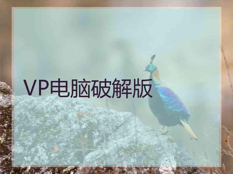 VP电脑破解版