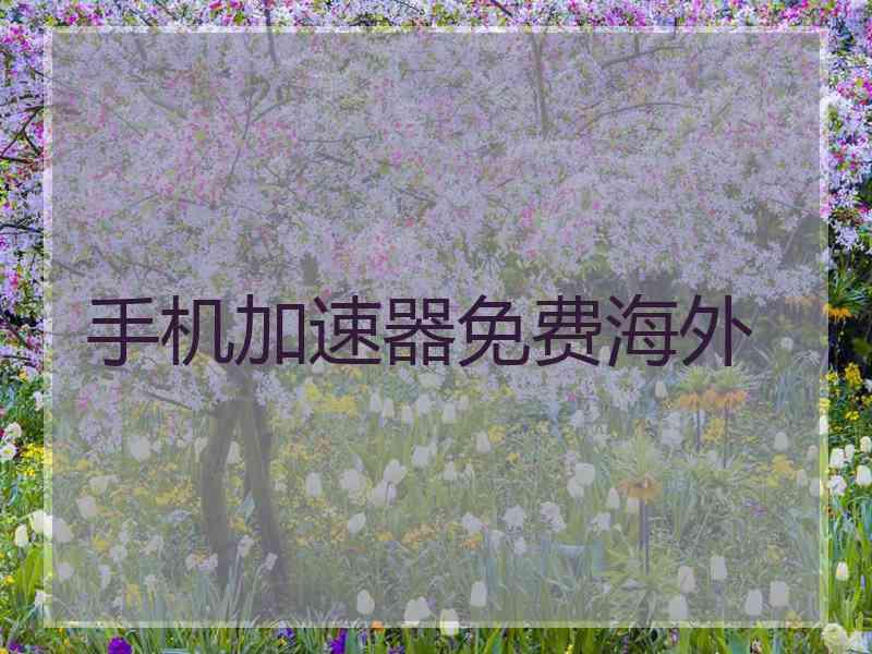 手机加速器免费海外