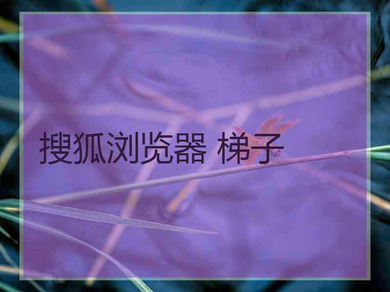 搜狐浏览器 梯子