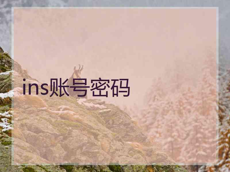 ins账号密码