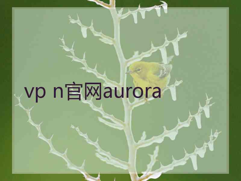vp n官网aurora