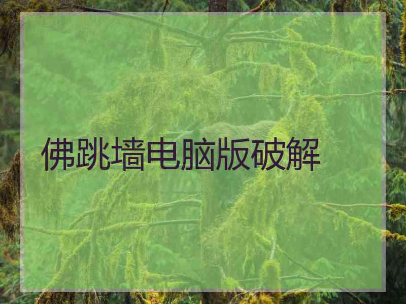 佛跳墙电脑版破解