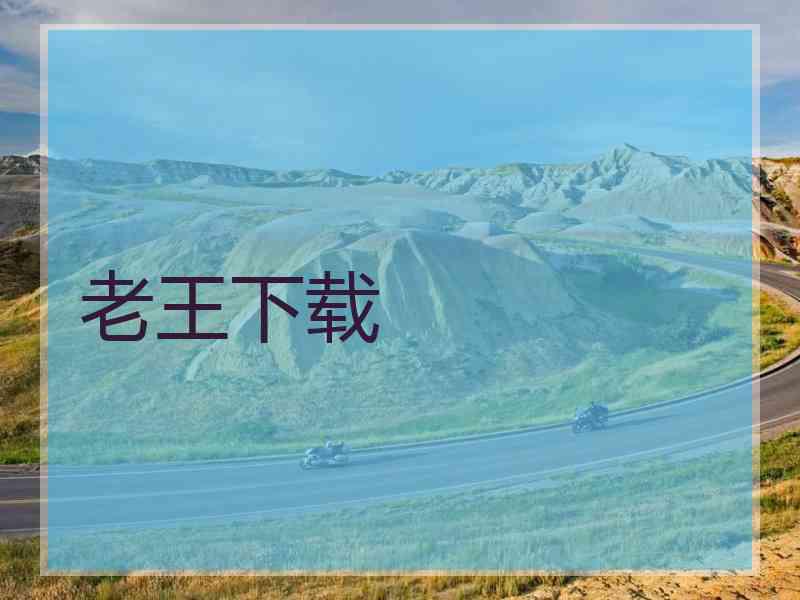 老王下载