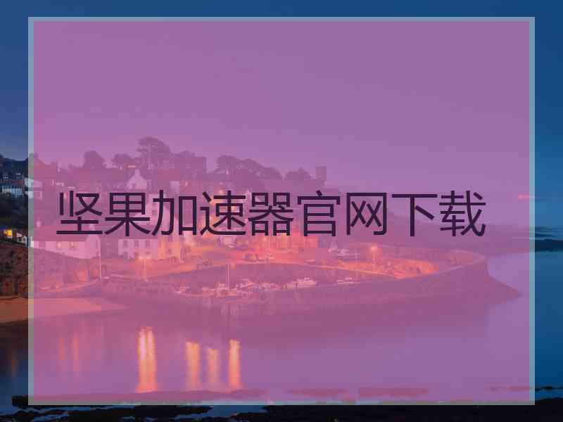 坚果加速器官网下载