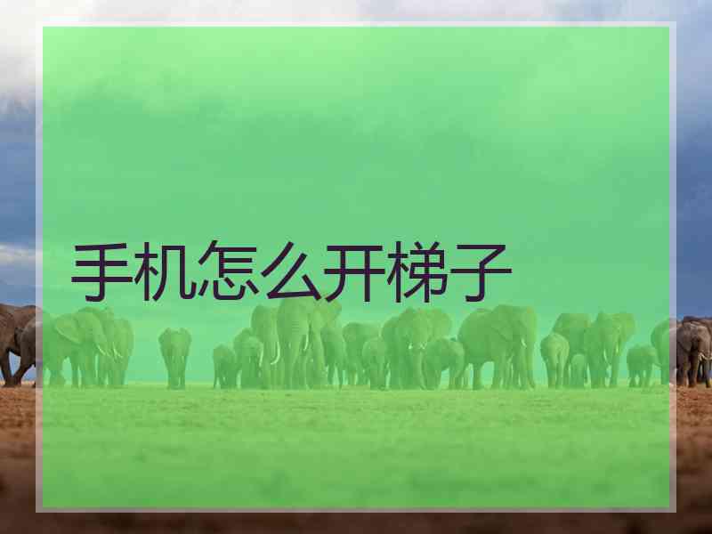 手机怎么开梯子