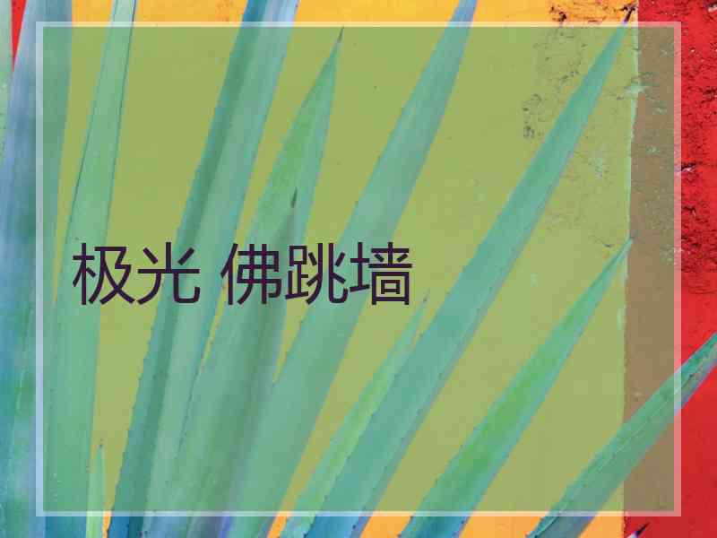 极光 佛跳墙