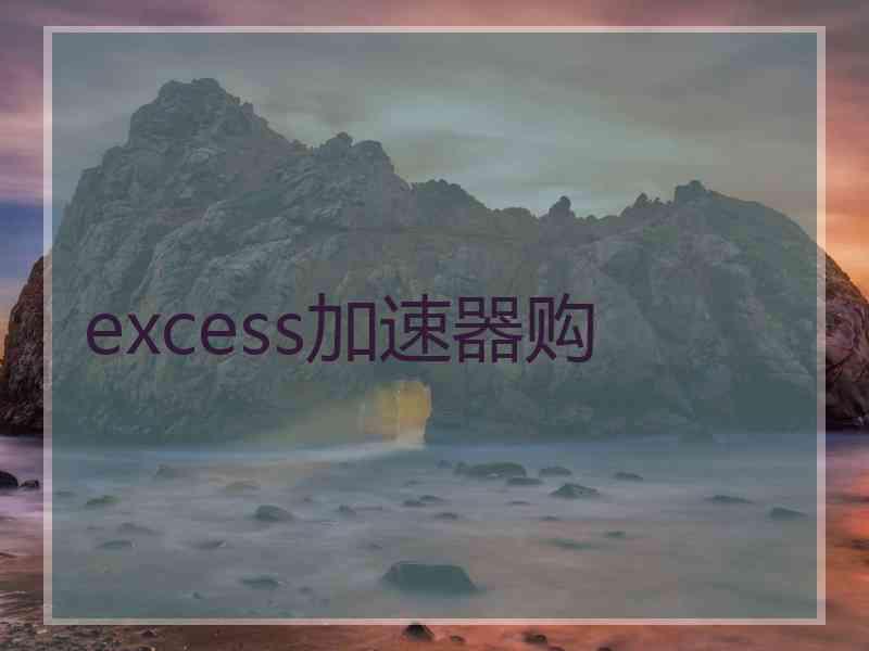 excess加速器购