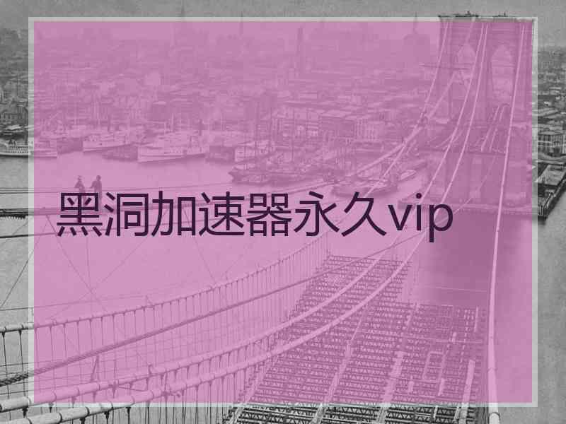 黑洞加速器永久vip