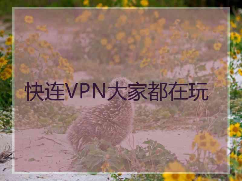 快连VPN大家都在玩