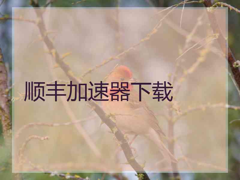 顺丰加速器下载