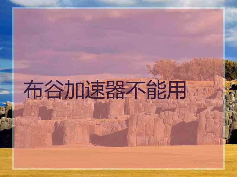 布谷加速器不能用