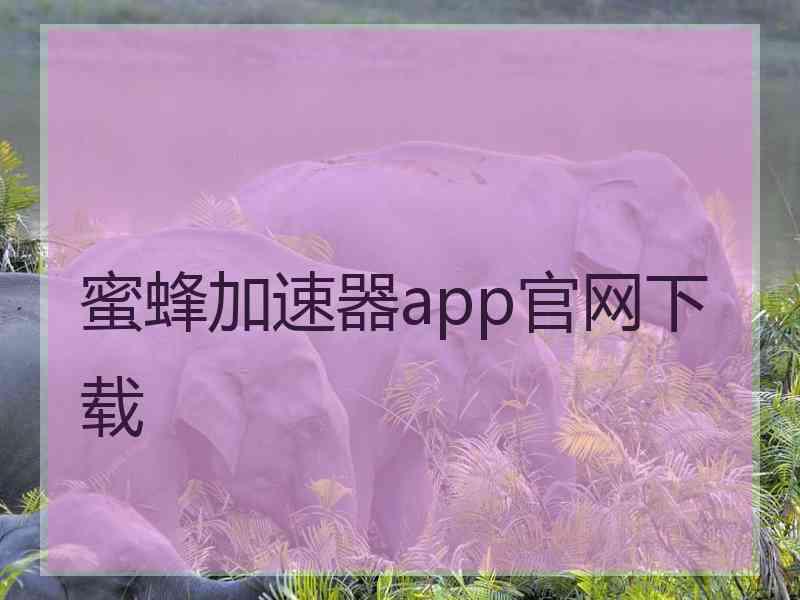蜜蜂加速器app官网下载
