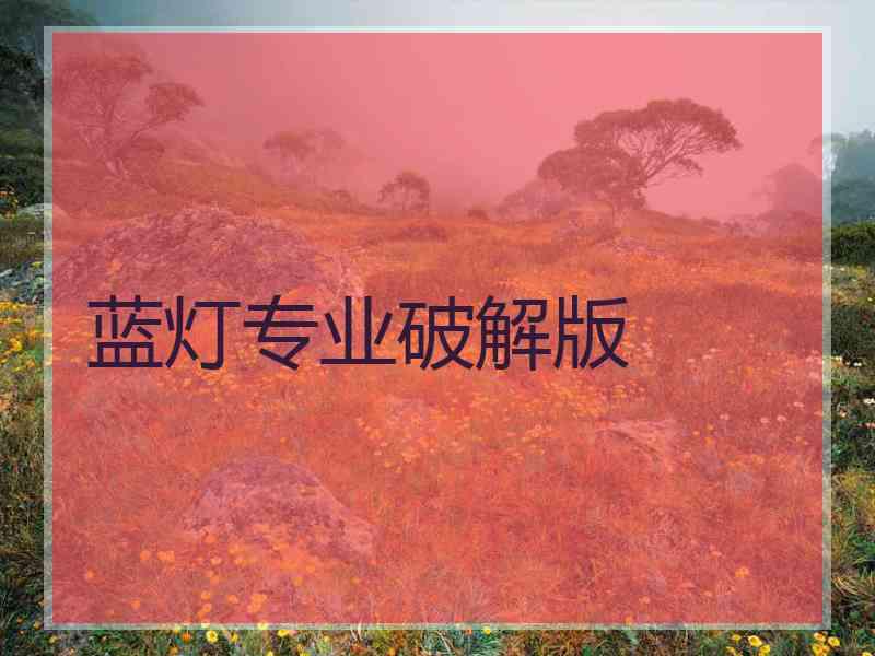 蓝灯专业破解版