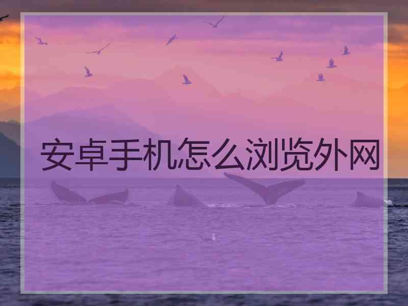 安卓手机怎么浏览外网