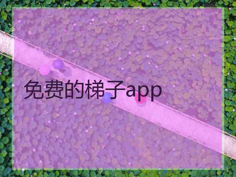 免费的梯子app