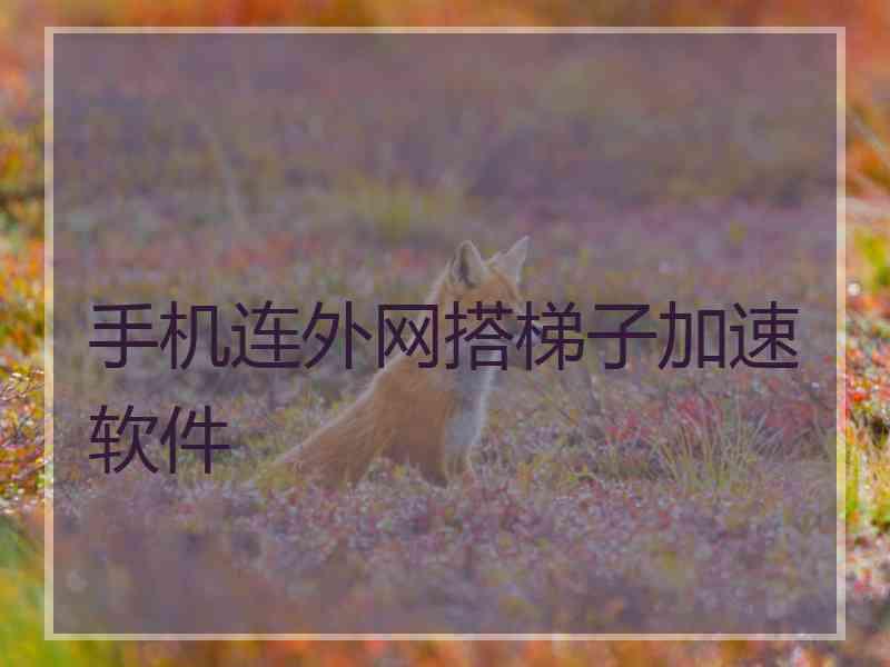 手机连外网搭梯子加速软件