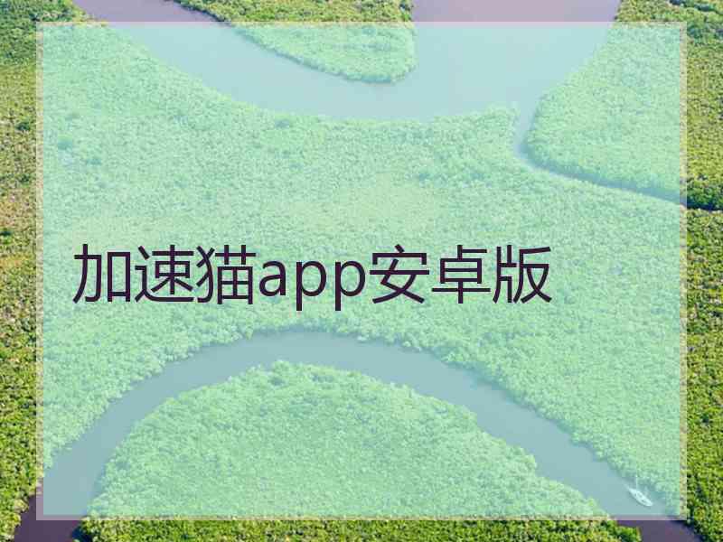 加速猫app安卓版