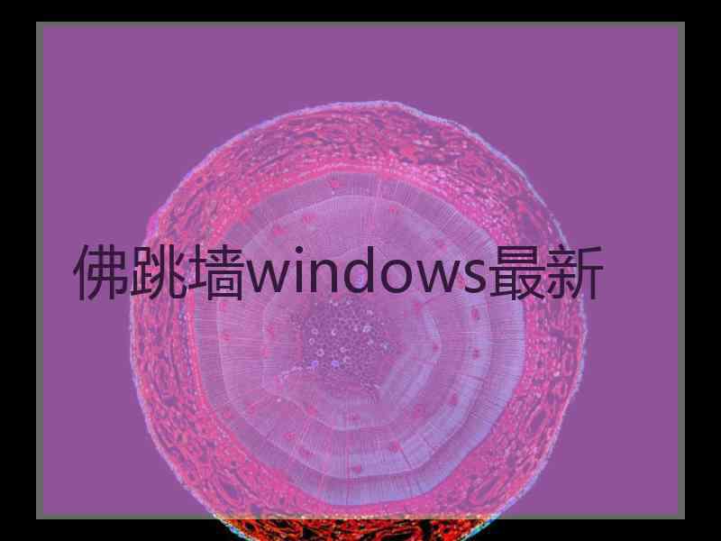 佛跳墙windows最新