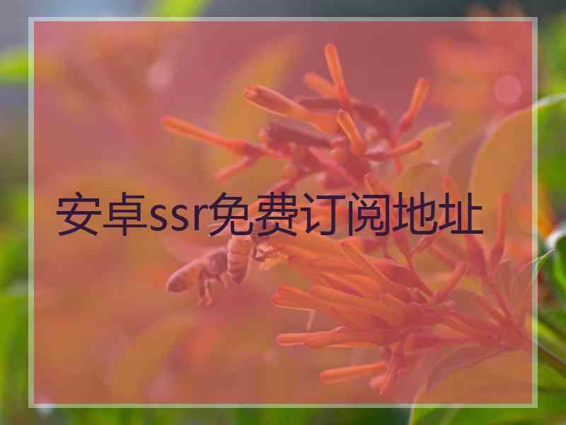 安卓ssr免费订阅地址