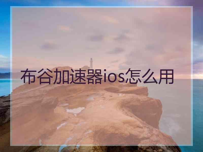布谷加速器ios怎么用