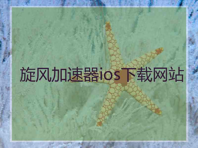 旋风加速器ios下载网站
