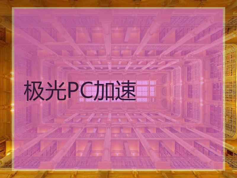 极光PC加速
