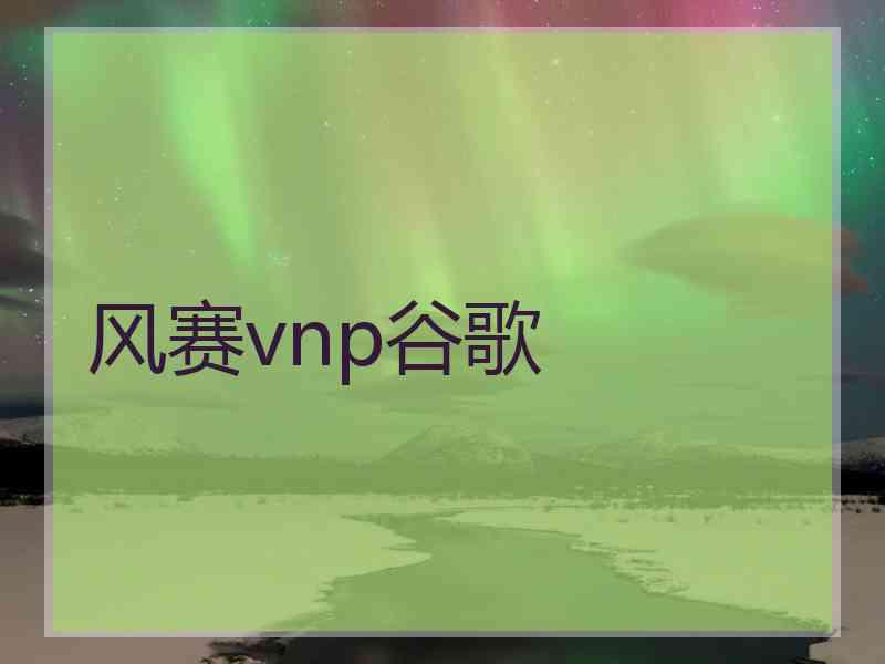 风赛vnp谷歌