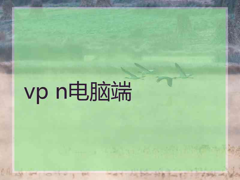 vp n电脑端