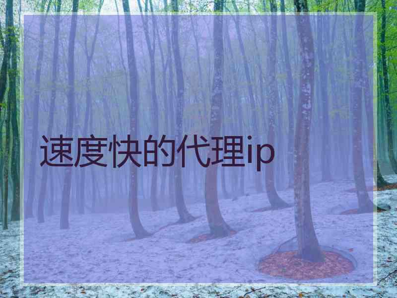 速度快的代理ip