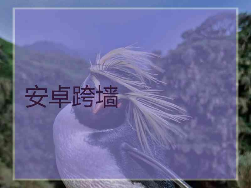 安卓跨墙