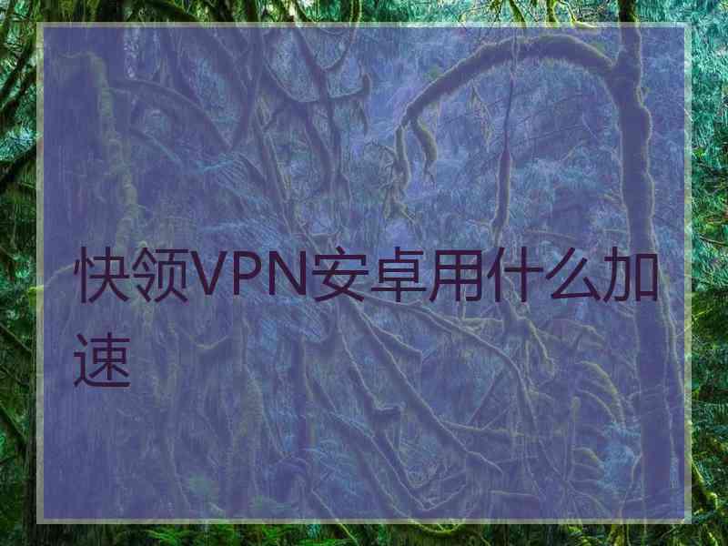 快领VPN安卓用什么加速