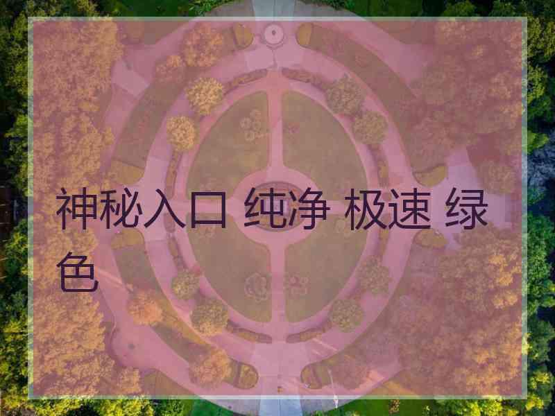 神秘入口 纯净 极速 绿色