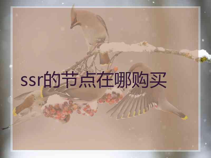 ssr的节点在哪购买