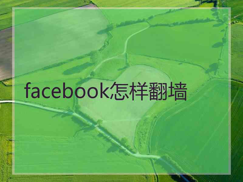 facebook怎样翻墙