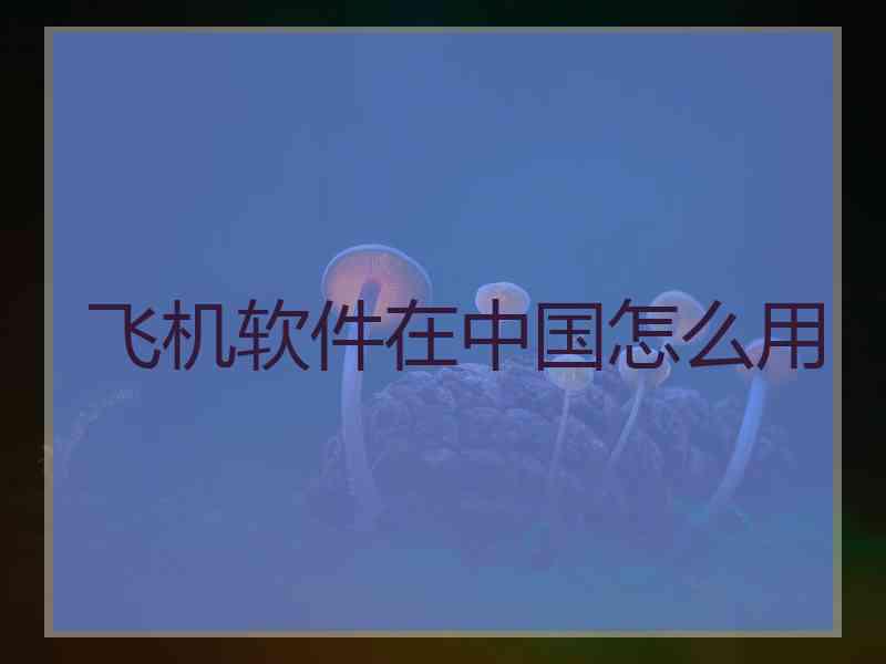 飞机软件在中国怎么用