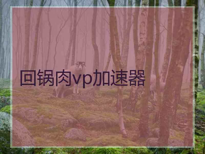 回锅肉vp加速器