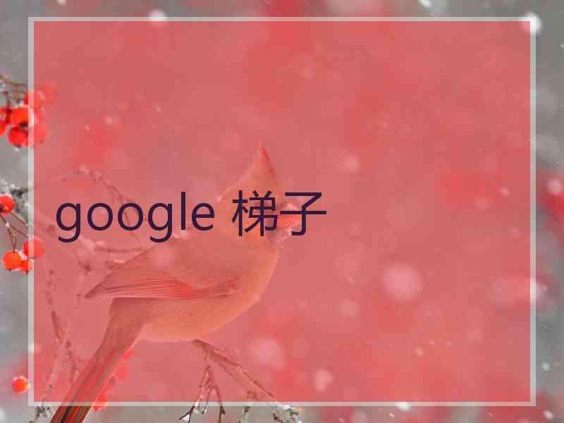 google 梯子
