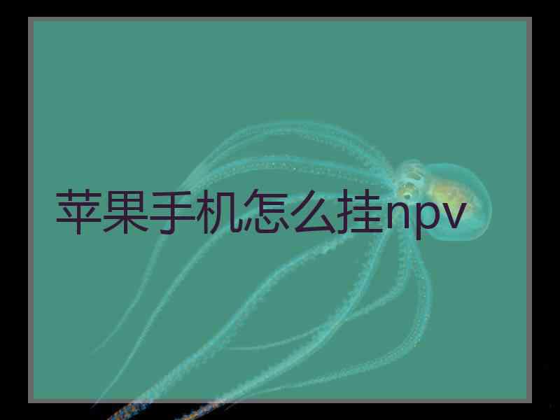 苹果手机怎么挂npv
