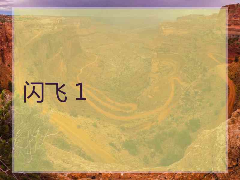 闪飞 1