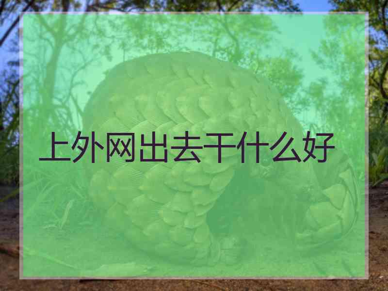 上外网出去干什么好