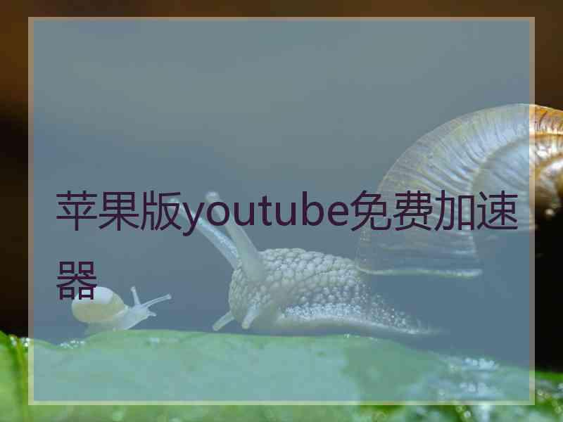 苹果版youtube免费加速器